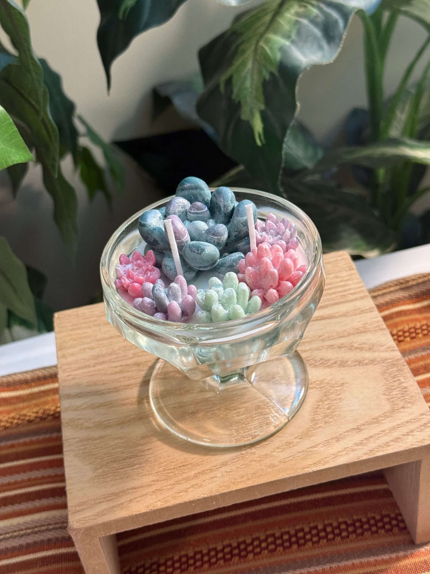 Sparkle Succulent Garden
