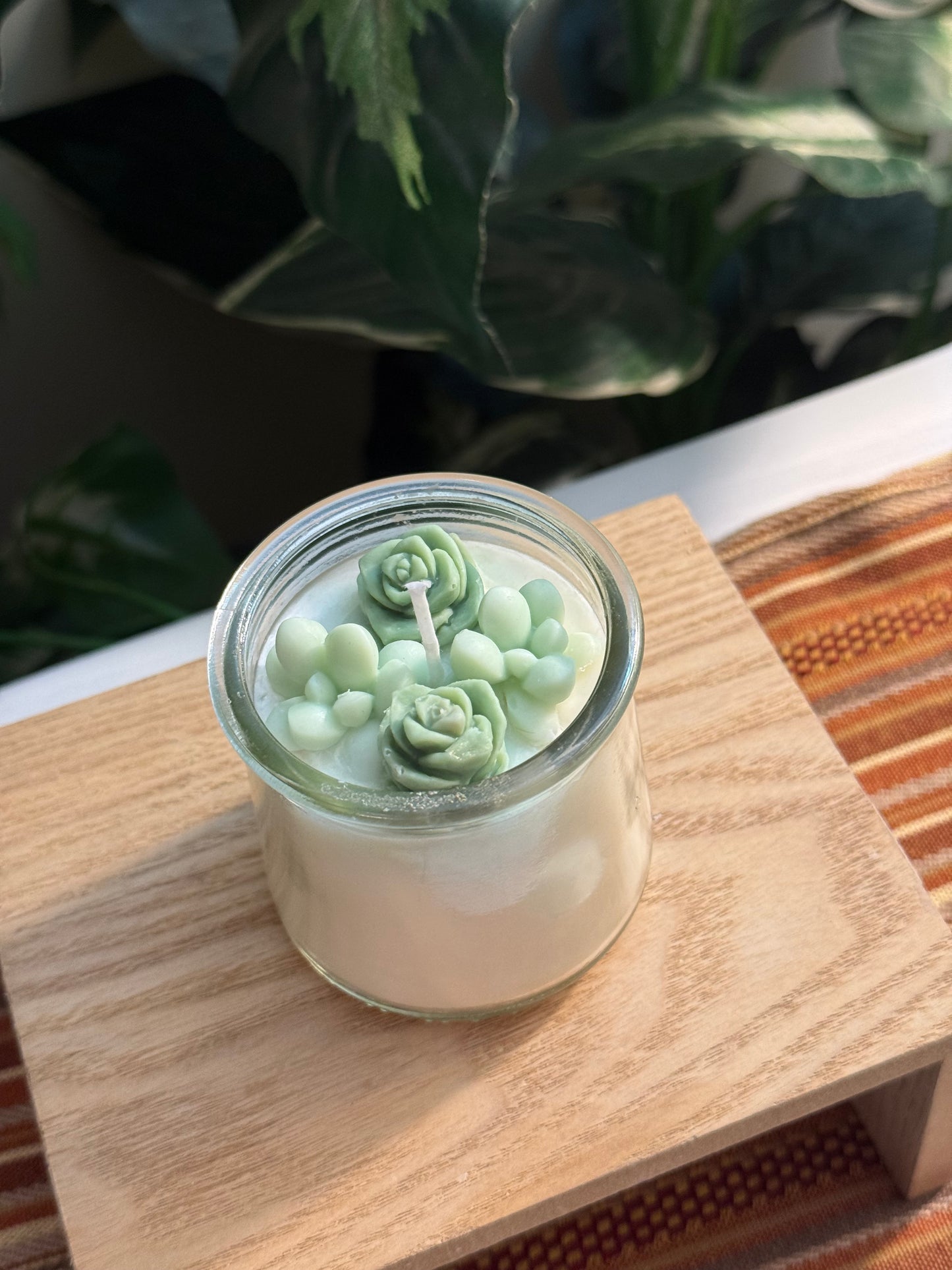Small Green Succulent Garden
