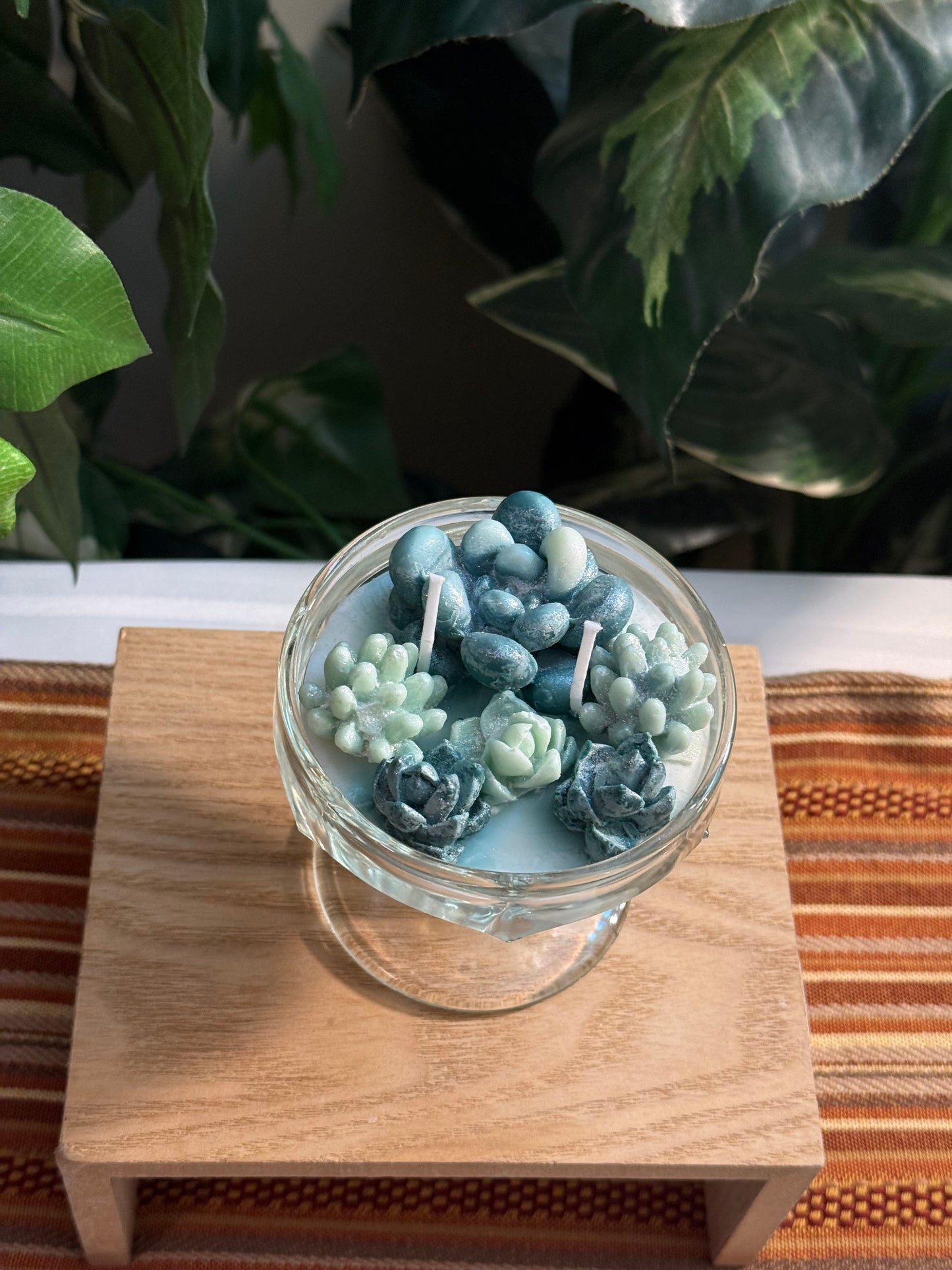 Sparkle Succulent Garden