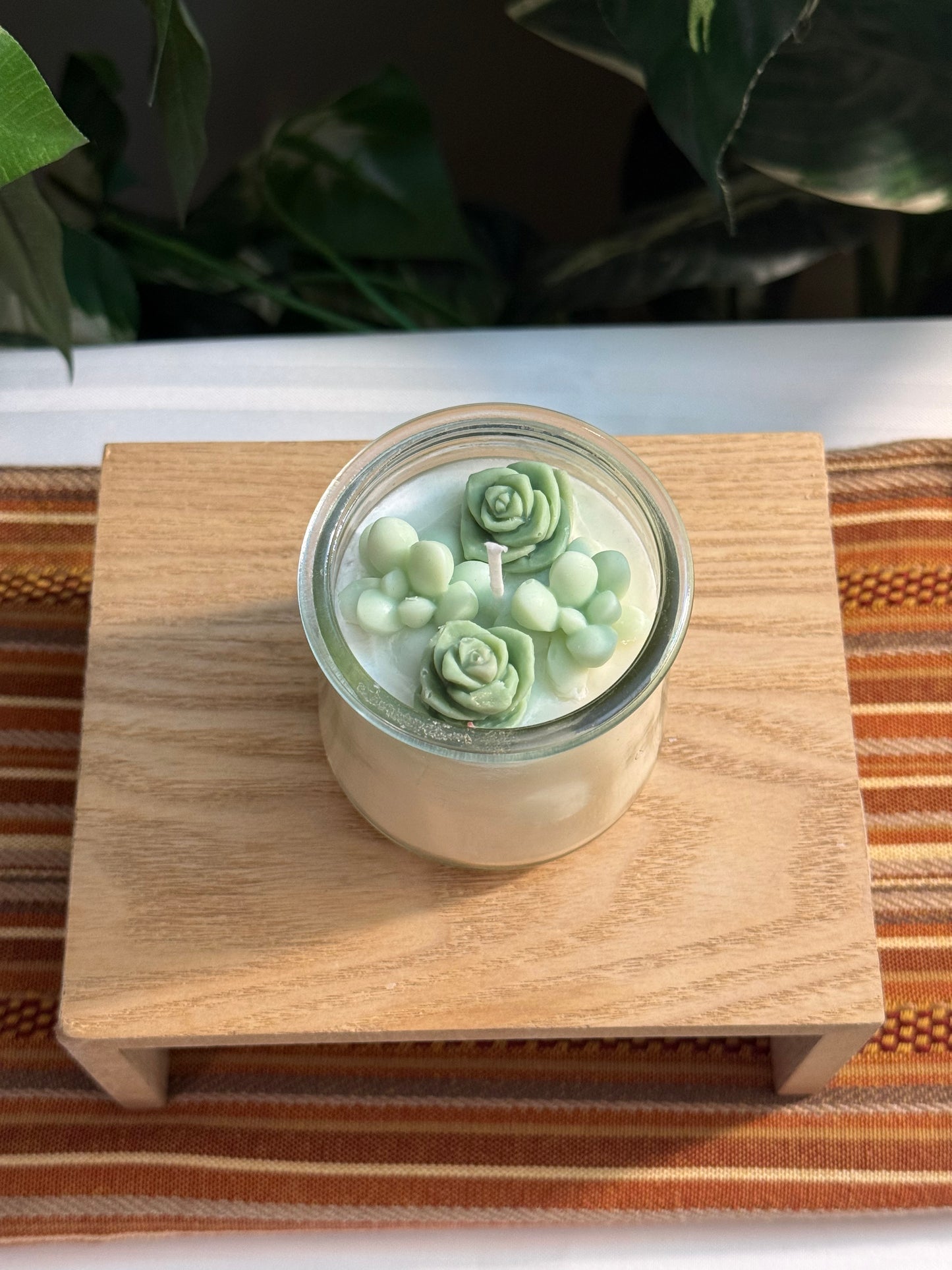 Small Green Succulent Garden
