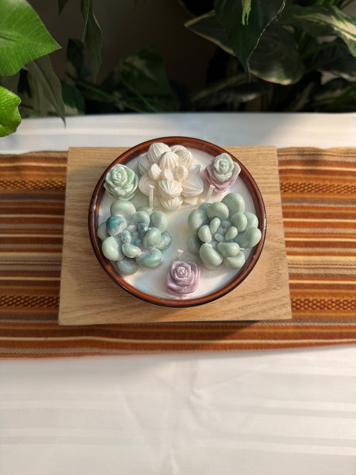 Ceramic Succulent Garden Candle