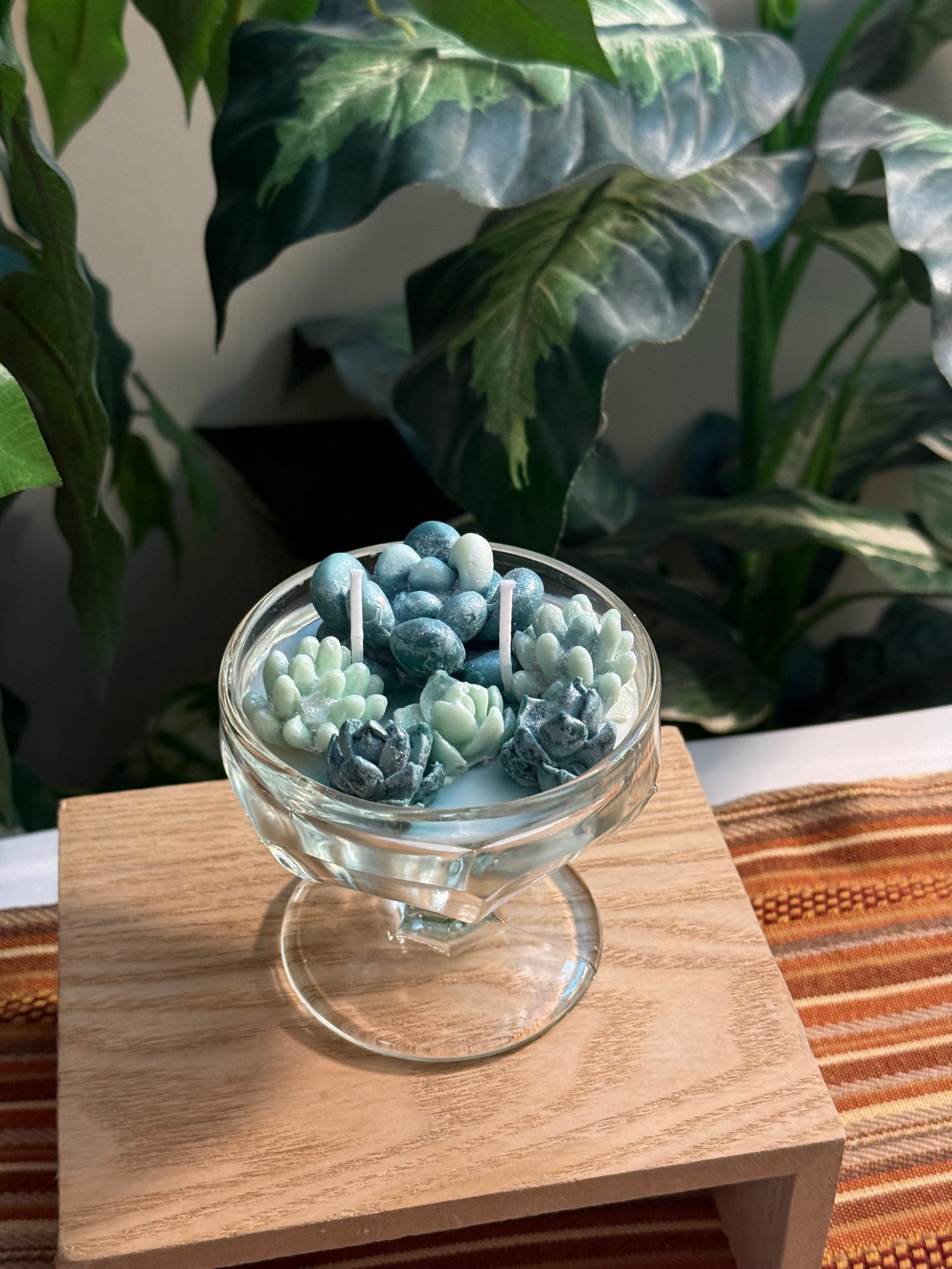 Sparkle Succulent Garden