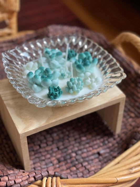 Marble green succulent garden in glass bowl