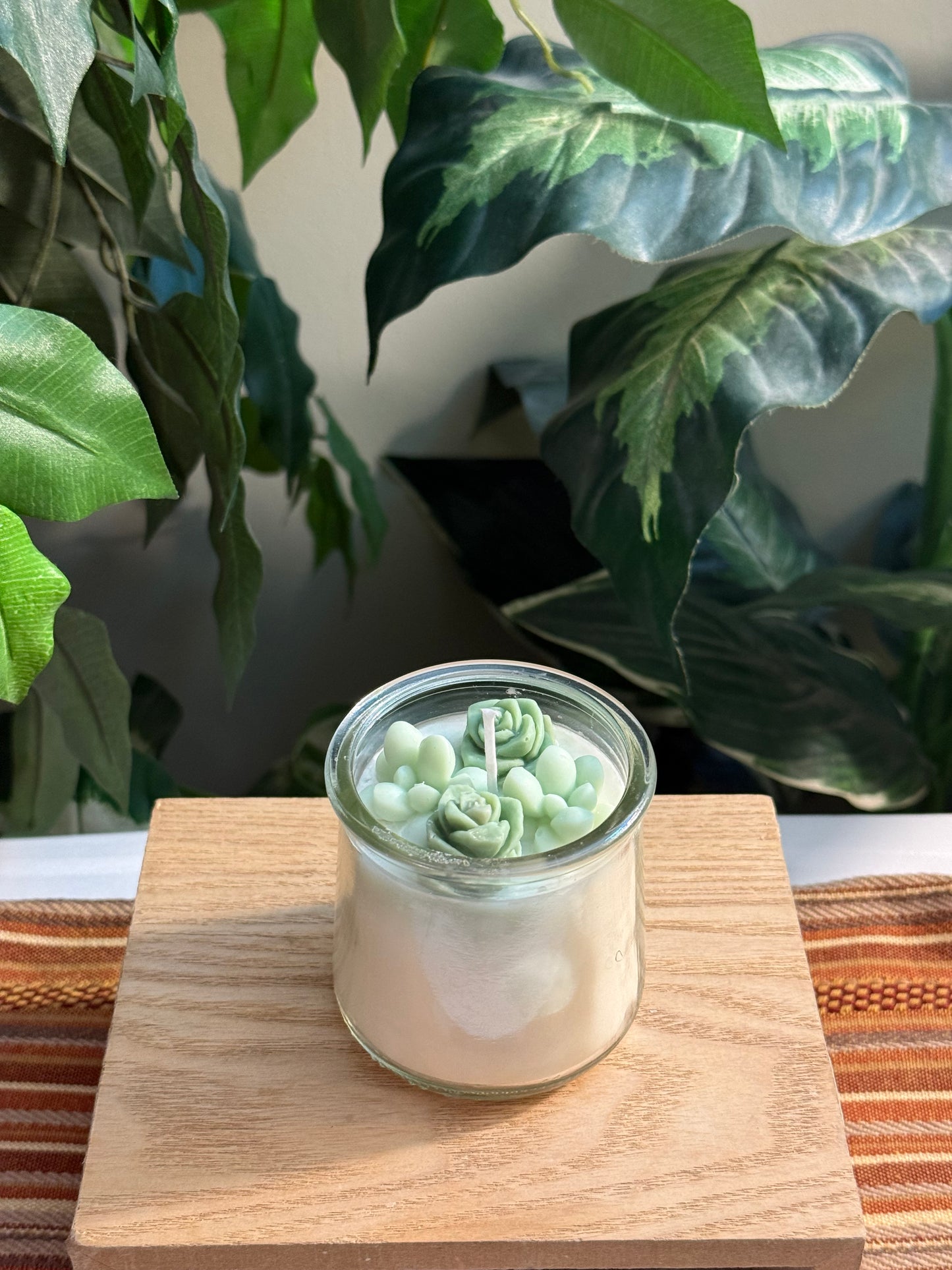 Small Green Succulent Garden