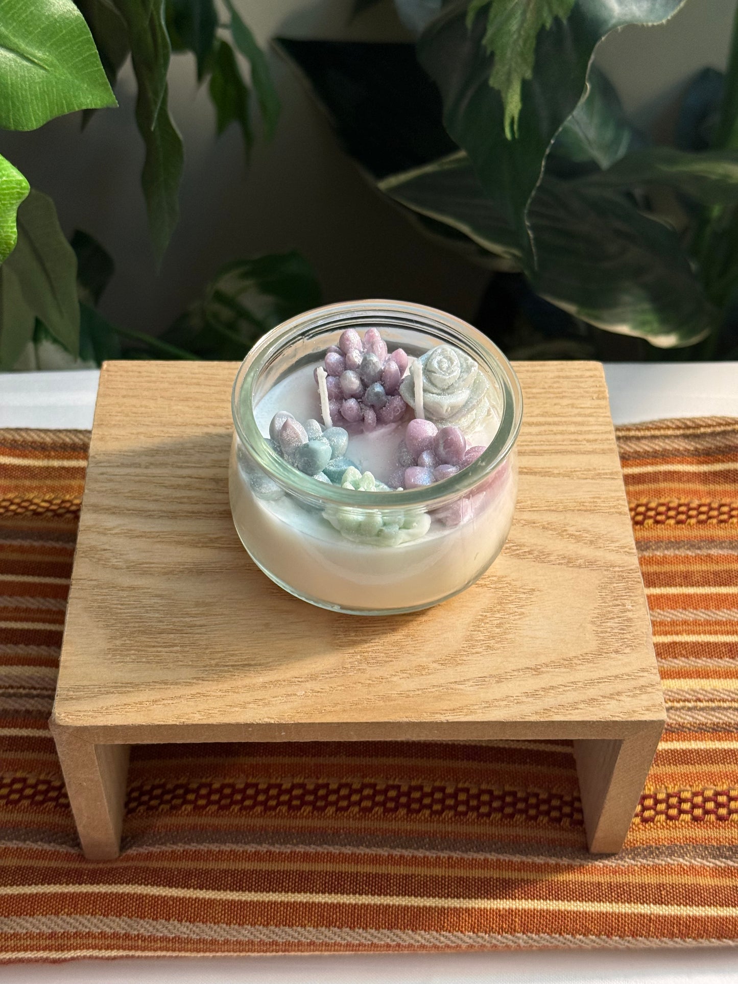 Small Succulent Garden