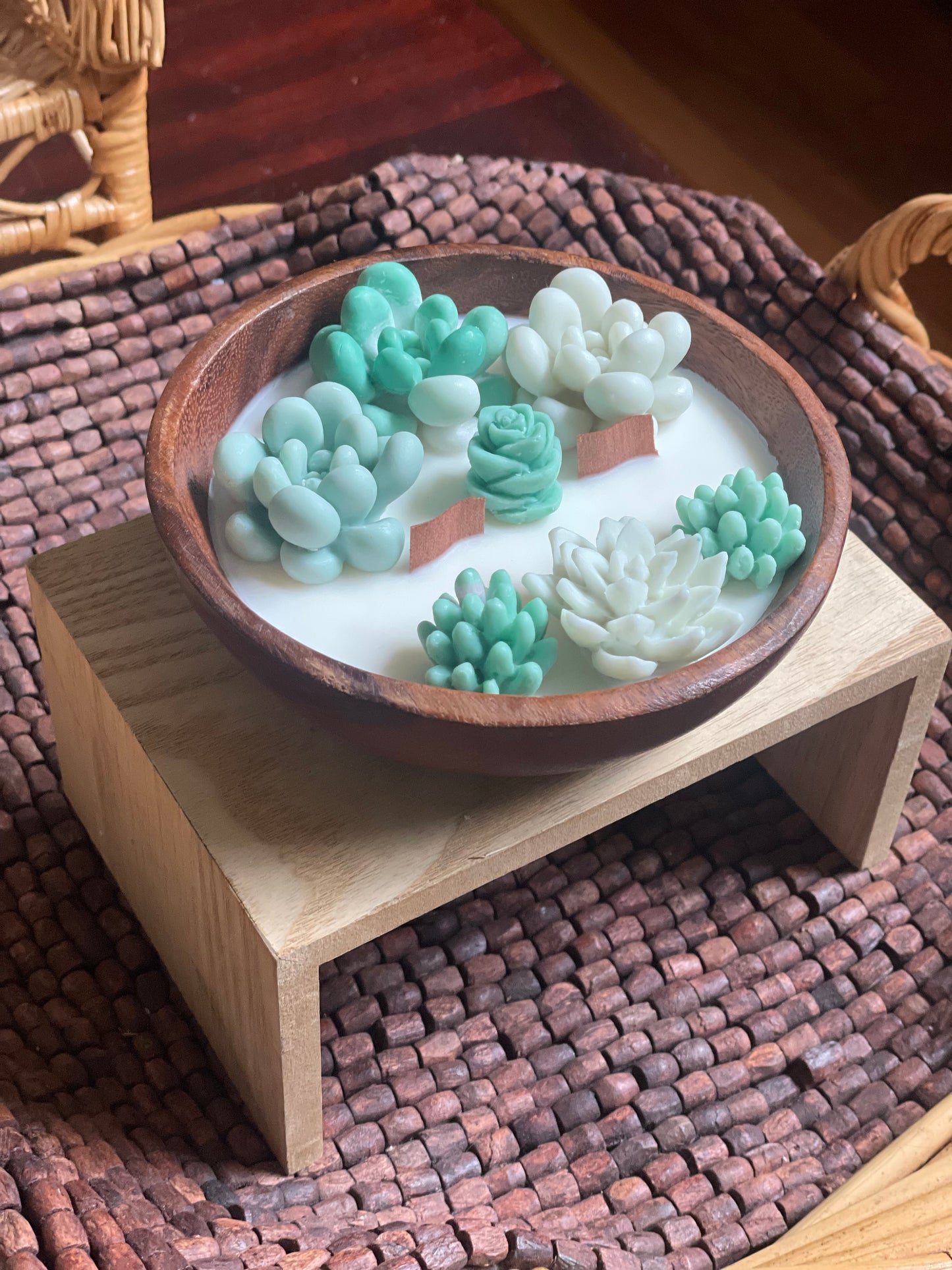 Green succulent garden in wooden bowl