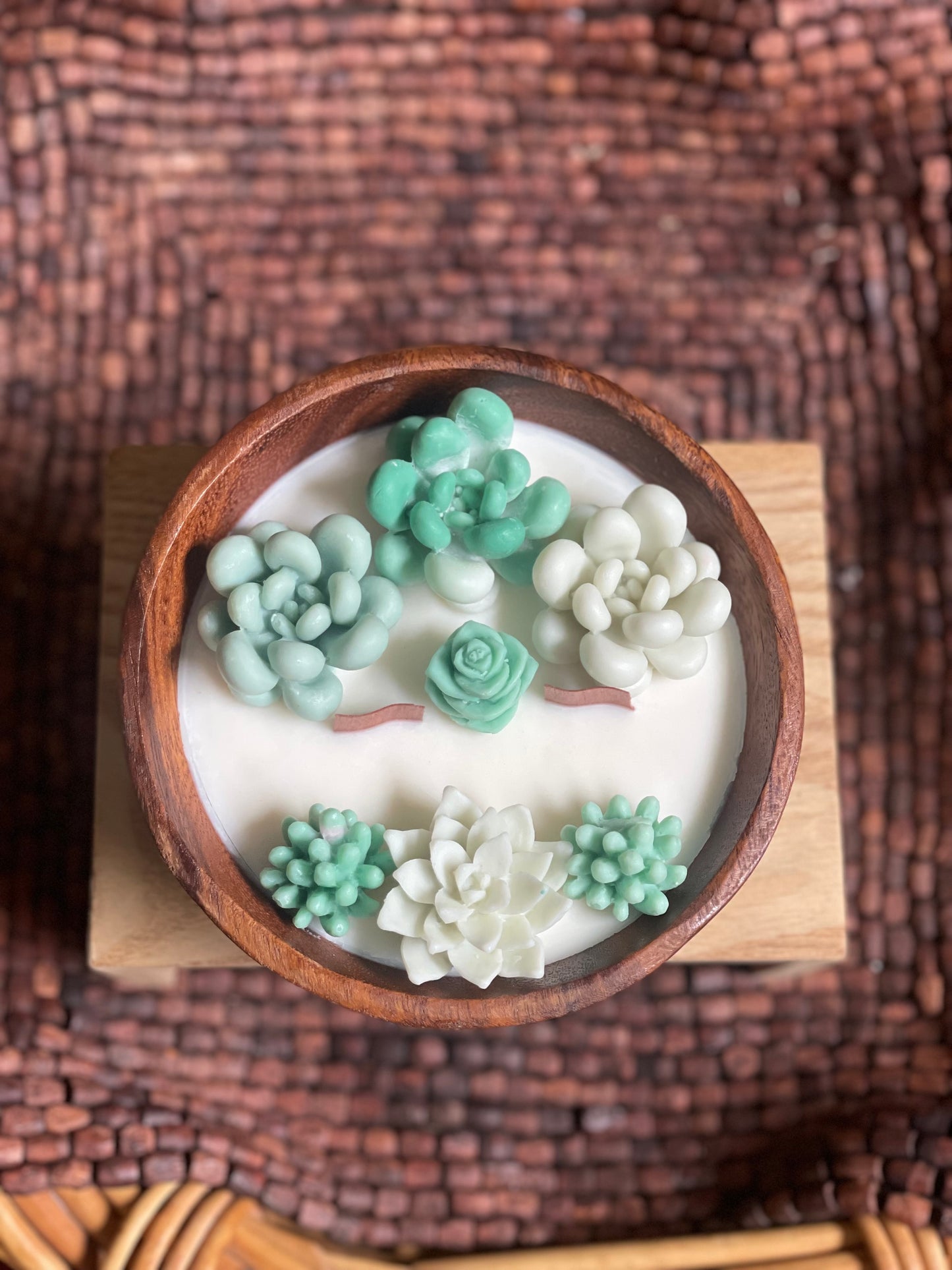 Green succulent garden in wooden bowl