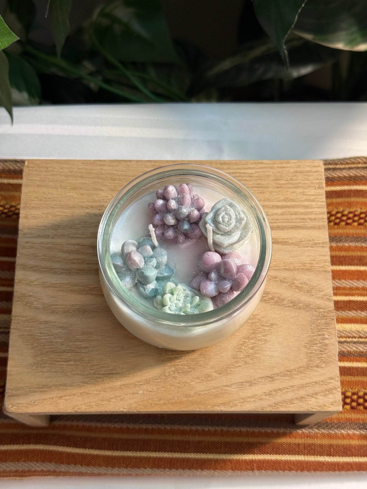Small Succulent Garden