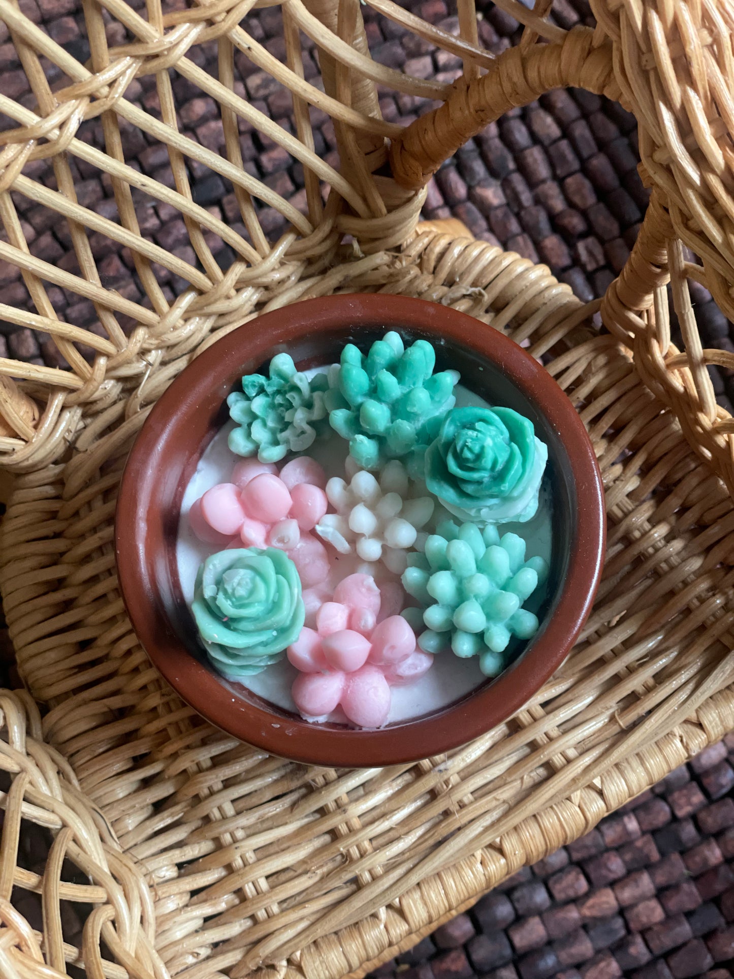 Pink and green succulent garden