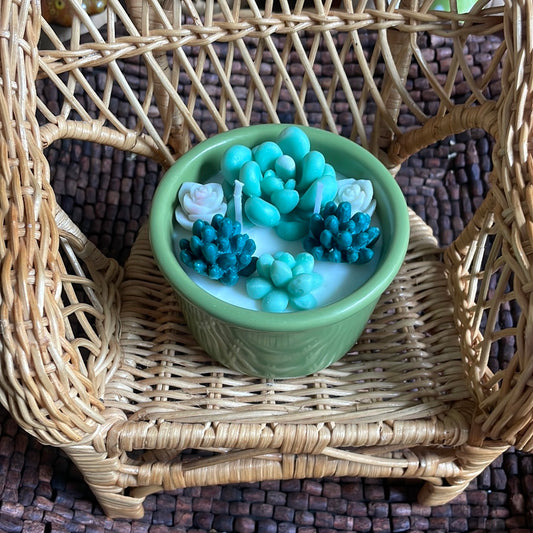 Green garden in green bowl