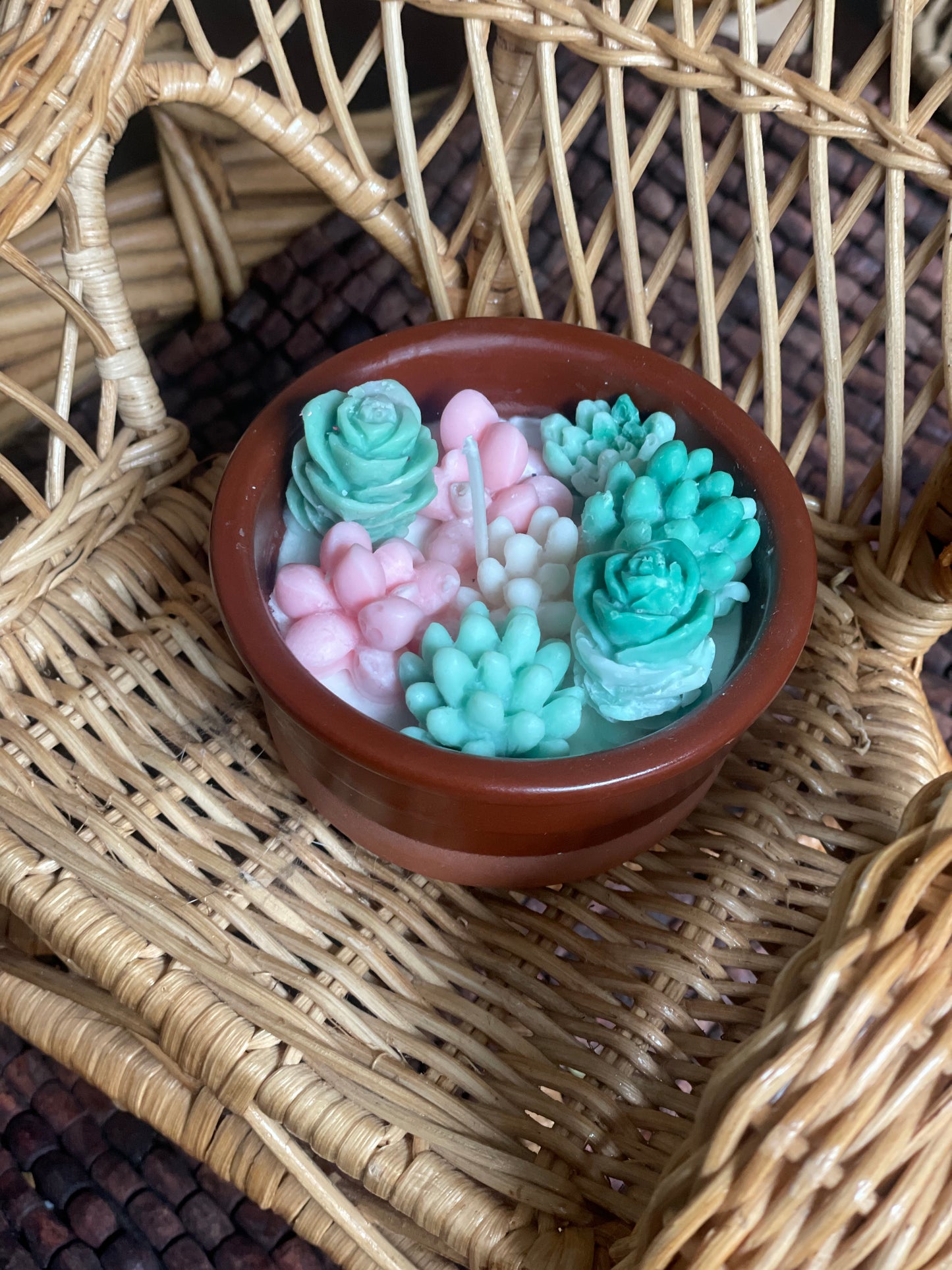 Pink and green succulent garden